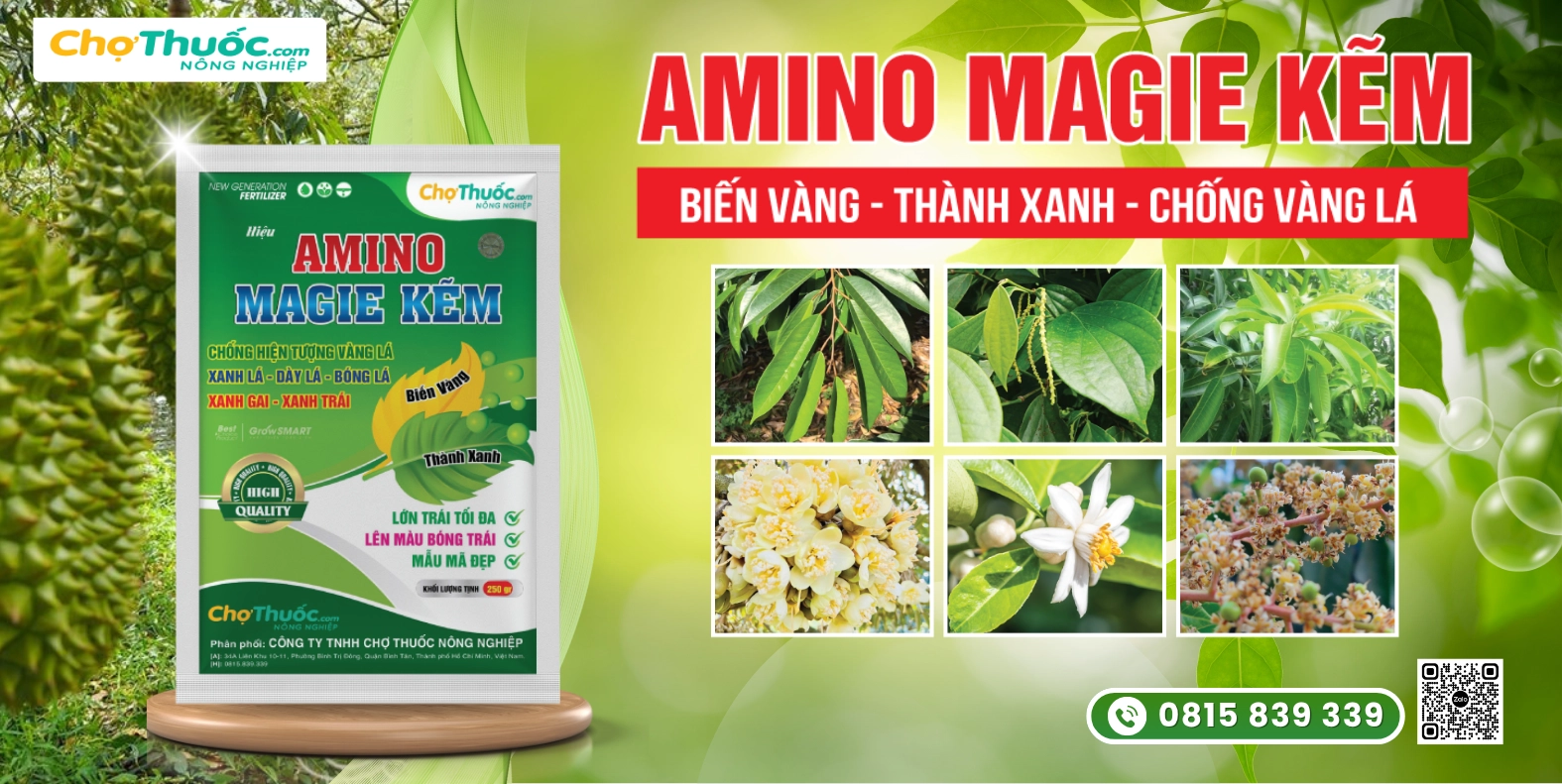 AMINO MAGIE KẼM