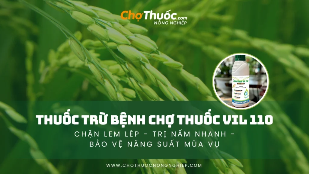THUỐC TRỪ BỆNH CHỢ THUỐC VIL 110