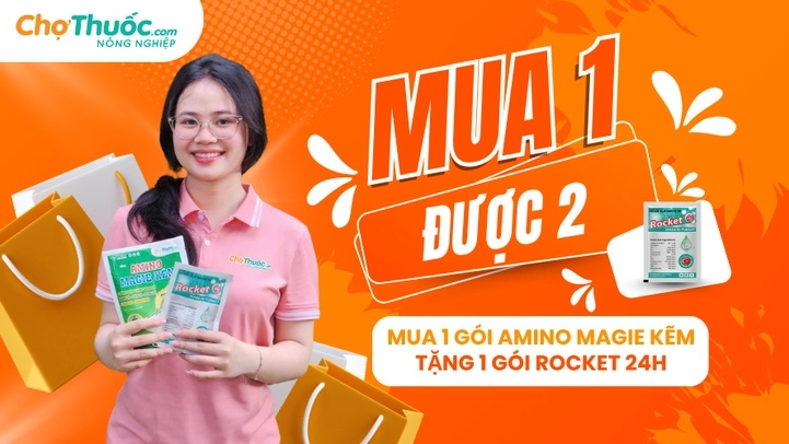 Khuyến mãi Amino