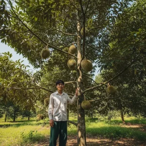 Anh Hưng Bến Tre