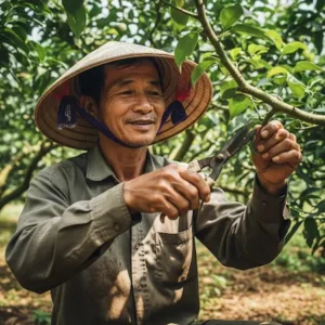 Anh Long, nông dân trồng cây ăn trái (Tiền Giang)