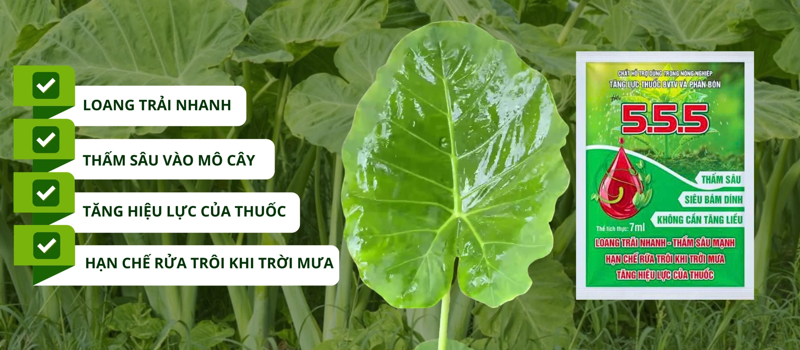 CHẤT HỖ TRỢ DÙNG TRONG NÔNG NGHIỆP – TĂNG LỰC THUỐC BVTV VÀ PHÂN BÓN