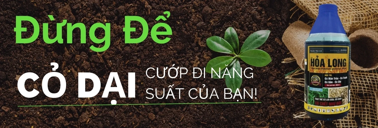 Đừng Để Cỏ Dại Cướp Đi Năng Suất Của Bạn! (1)