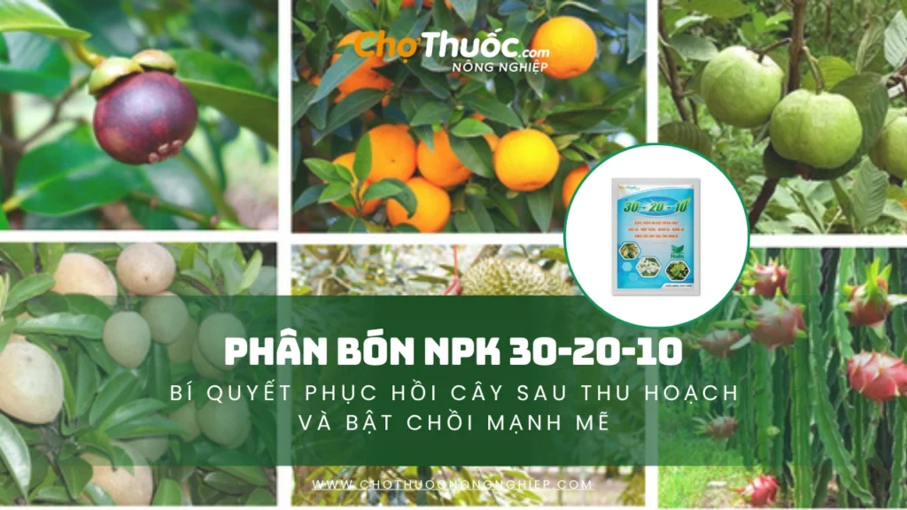 PHÂN BÓN NPK 30-20-10