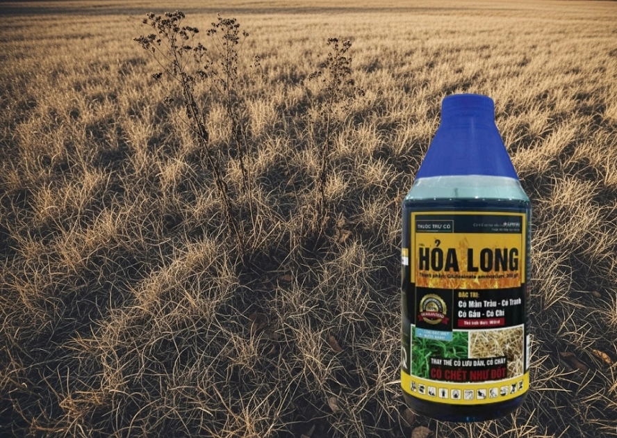 hỏa long 1