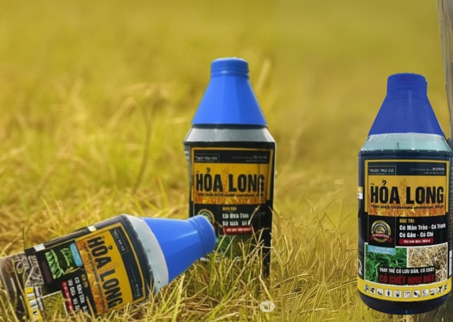 hỏa long 2