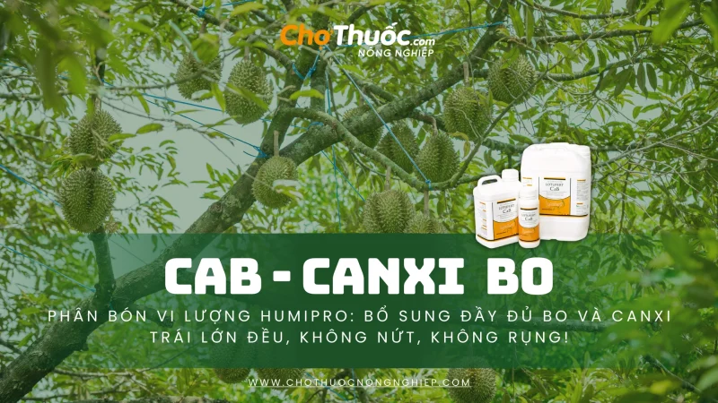 CaBo – Phân Bón Vi Lượng HUMIPRO (1)
