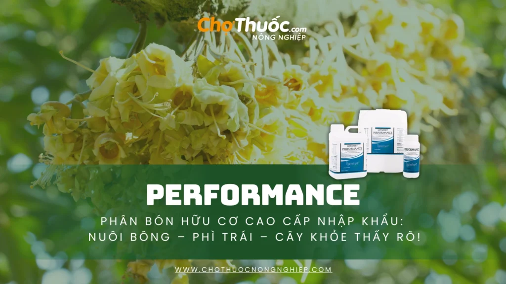 PERFORMANCE – Phân Bón Hữu Cơ Cao Cấp Nhập Khẩu (1)