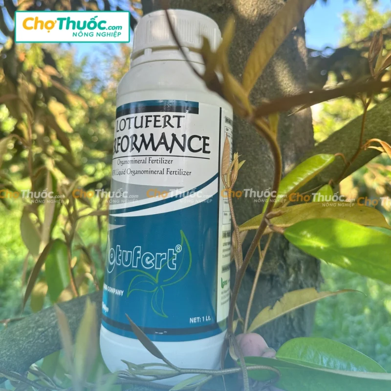 PERFORMANCE – Phân Bón Hữu Cơ Cao Cấp Nhập Khẩu (1)