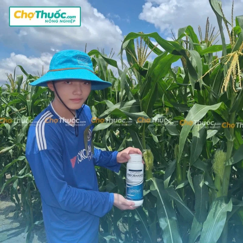 PERFORMANCE – Phân Bón Hữu Cơ Cao Cấp Nhập Khẩu (1)
