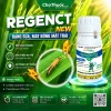 RegenCT New- 240ml