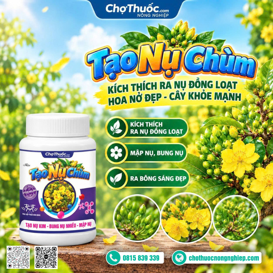 NPK SAO NÔNG 10-60-10 – TẠO NỤ CHÙM